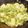 クックG1CG0C☆'s cooksnap of when they made 優旨♡ブロッコリーの豆腐餡掛け.