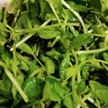 ★お結び☆'s cooksnap of when they made 豆苗と塩昆布☆苦手克服！.