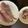 いっぺい99's cooksnap of when they made 簡単！アジのたたき.