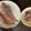 いっぺい99's cooksnap of when they made 簡単！アジのたたき.