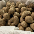 MULA's cooksnap of when they made むかごの塩茹で.