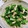 みっちゃん❇️68's cooksnap of when they made ササミと菜の花の辛子あえ.
