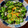 ☆さぶ☆☆'s cooksnap of when they made 電子レンジで！簡単ピーマンの塩昆布和え.