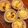 uerige's cooksnap of when they made サワークリーム☆ブルーベリーマフィン.