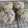 クックMVXCM0☆'s cooksnap of when they made +ほうじ茶とあんこのスコーンクッキー+.