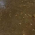 MULA's cooksnap of when they made 白菜のカレー.
