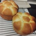 クック6MQT66☆'s cooksnap of when they made 【HB】簡単 ブリオッシュちぎりパン.