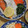 2児ママみきてぃ's cooksnap of when they made 蓮根のあっさり塩炒め.