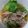 いそしぃ's cooksnap of when they made 野菜たっぷり、沢煮椀.