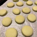ほしいもだいすき's cooksnap of when they made 初心者向け！失敗しない濃厚抹茶マカロン.