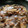 こまむす's cooksnap of when they made 牛すじとごぼうの【しぐれ煮】.