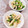 クックHG9V8Y☆'s cooksnap of when they made 小松菜とさつまあげのからしあえ.