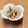 うさねこごはん's cooksnap of when they made 大根の皮のニンニク＆ツナ缶炒め.