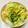 azbjbn's cooksnap of when they made 白菜の柚子浅漬け.