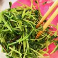 ｅｃｈｏｅｃｈｏ's cooksnap of when they made 豆苗の塩昆布和え.