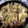 tutocook's cooksnap of when they made とろとろ～♪豚こまの卵とじ丼♪.