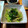 ばたみそーぱん☆'s cooksnap of when they made 5分で簡単！小松菜とえのきのさっぱり和え.