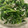 ぶりクン's cooksnap of when they made 菜の花とかちりの胡麻たっぷり和え.