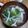 和☆2049's cooksnap of when they made 水から煮るキノコ達☆白菜&豚バラ塩スープ.