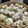 エイビーズ's cooksnap of when they made 簡単！玉葱シュウマイ.