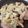 bellーりん's cooksnap of when they made 超簡単！豚ヒレ肉の粒マスタードソースのせ.