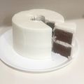 ジーナさん's cooksnap of when they made バレンタイン♡チョコシフォン♡全卵使用.