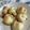 クック49L4Ho☆'s cooksnap of when they made 簡単！シュークリームの皮☆シュー生地.