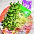 STimeBlues's cooksnap of when they made カップ麺にカイワレ大根.