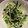 なおこたろう55's cooksnap of when they made 水菜のお浸しの一番美味しい食べ方.