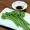 YCHキッチン's cooksnap of when they made 一番おいしい食べ方！こごみのお刺身.