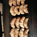 ユウトン。's cooksnap of when they made 簡単塩ロールパン・塩パン.