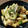 ばたみそーぱん☆'s cooksnap of when they made ✿豆とマカロニの和風ごまサラダ✿.