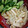 クック3N0VKO☆'s cooksnap of when they made 簡単！明太マヨのペンネ♪.