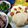 クック619DRX☆'s cooksnap of when they made ～菜の花のおひたし～春の便り.