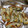 クックMGZ132☆'s cooksnap of when they made ☼超簡単♪油を使わず♪ちくわの磯辺フライ.