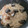 ＫＯＲＯ♪'s cooksnap of when they made いわしの缶詰めで炊き込みごはん.