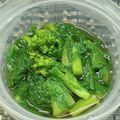 ゆうかりおん's cooksnap of when they made 話題の副菜作りおき！料亭の菜の花おひたし.