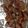 kzr孤鳩's cooksnap of when they made シェフ直伝！サイコロステーキの焼き方だ！.