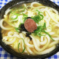 ととろ＆めい's cooksnap of when they made 病み上がりに☆卵とじうどん　梅干のせて～.
