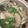 moripu's cooksnap of when they made きのう何食べた？手羽先の水炊き.