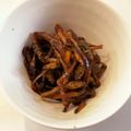 レナヒナ's cooksnap of when they made ✿春の常備菜✿つくしの佃煮.