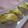miyuki12's cooksnap of when they made 簡単！可愛いスイートポテト♪♪.