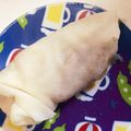ふぁんころ's cooksnap of when they made 焼豚と野菜のレンジ蒸し春巻.