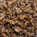 伊達こまち's cooksnap of when they made ごぼうと牛バラ肉のしぐれ煮.