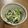 Ricy's cooksnap of when they made 小松菜とツナマヨ和え.