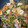 クックN5OGVL☆'s cooksnap of when they made 厚揚げの野菜あんかけ.