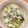 fl＊＊'s cooksnap of when they made ☆柔らか青菜の混ぜご飯☆.