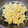 みちゃこmisako's cooksnap of when they made 大根と豆腐と卵の炒め煮.