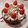 ハチワレねこ's cooksnap of when they made クリスマスも～チョコレートシフォンケーキ.