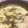ぴろり＋'s cooksnap of when they made ふんわり塩鮭とほうれん草のクリームパスタ.
